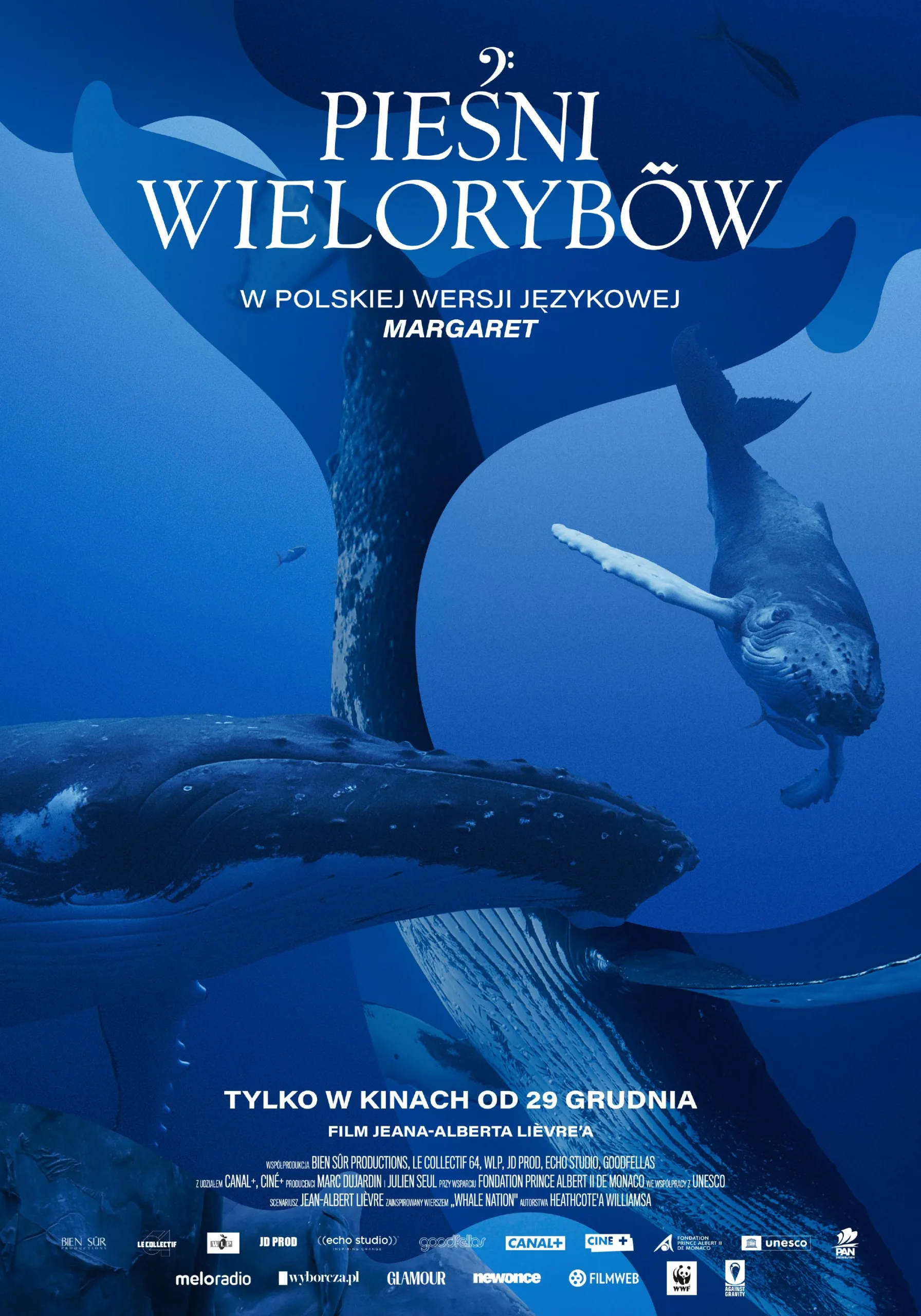 Plakat z filmu "Pieśni wielorybów". Ogon wieloryba nad powierzchnią oceanu.